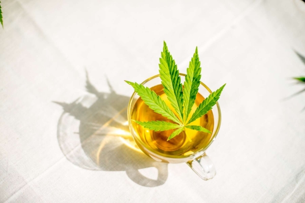 Hemp & Turmeric - Herbata z konopi i kurkumy 50 gram - Dutch Harvest herbata loose