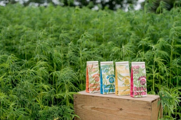 Hemp & Turmeric - Herbata z konopi i kurkumy 50 gram - Dutch Harvest herbata loose