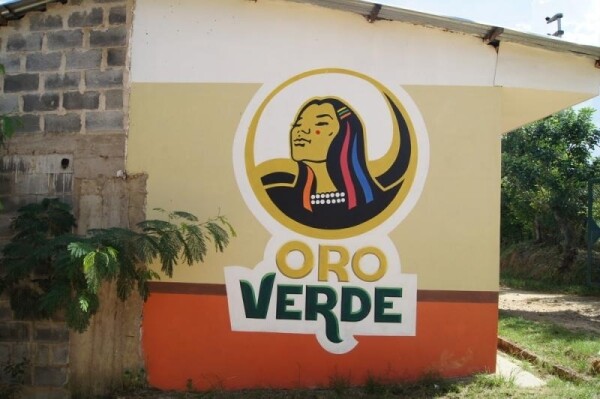 Millésime - Peru Speculoos - 55% czekolada mleczna