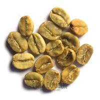 Ziarna kawy w fazie suszenia