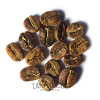 Ziarna kawy w fazie żółto-brązowej